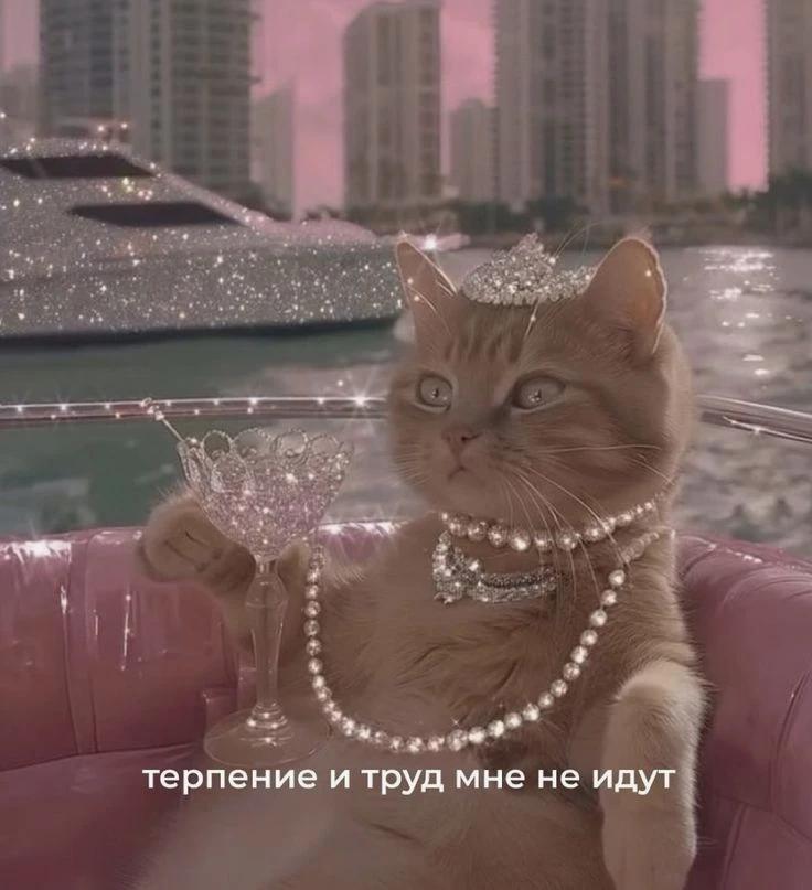 Приятных выходных. Увидимся в понедельник🌴