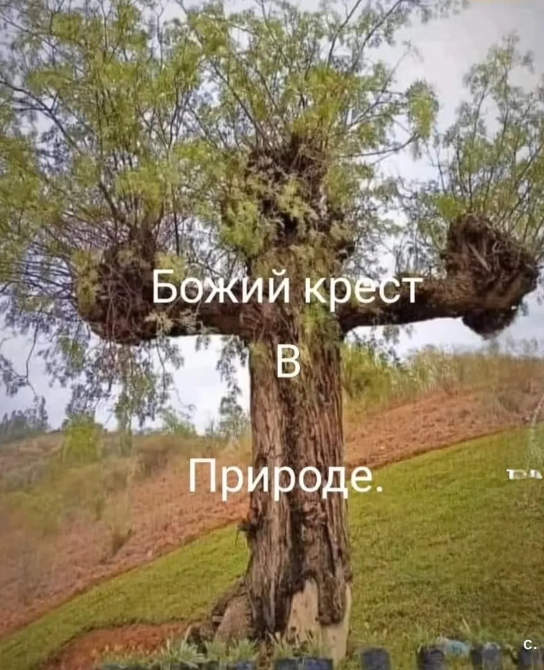 👠 Открытки и Поздравления
👉  Подписаться