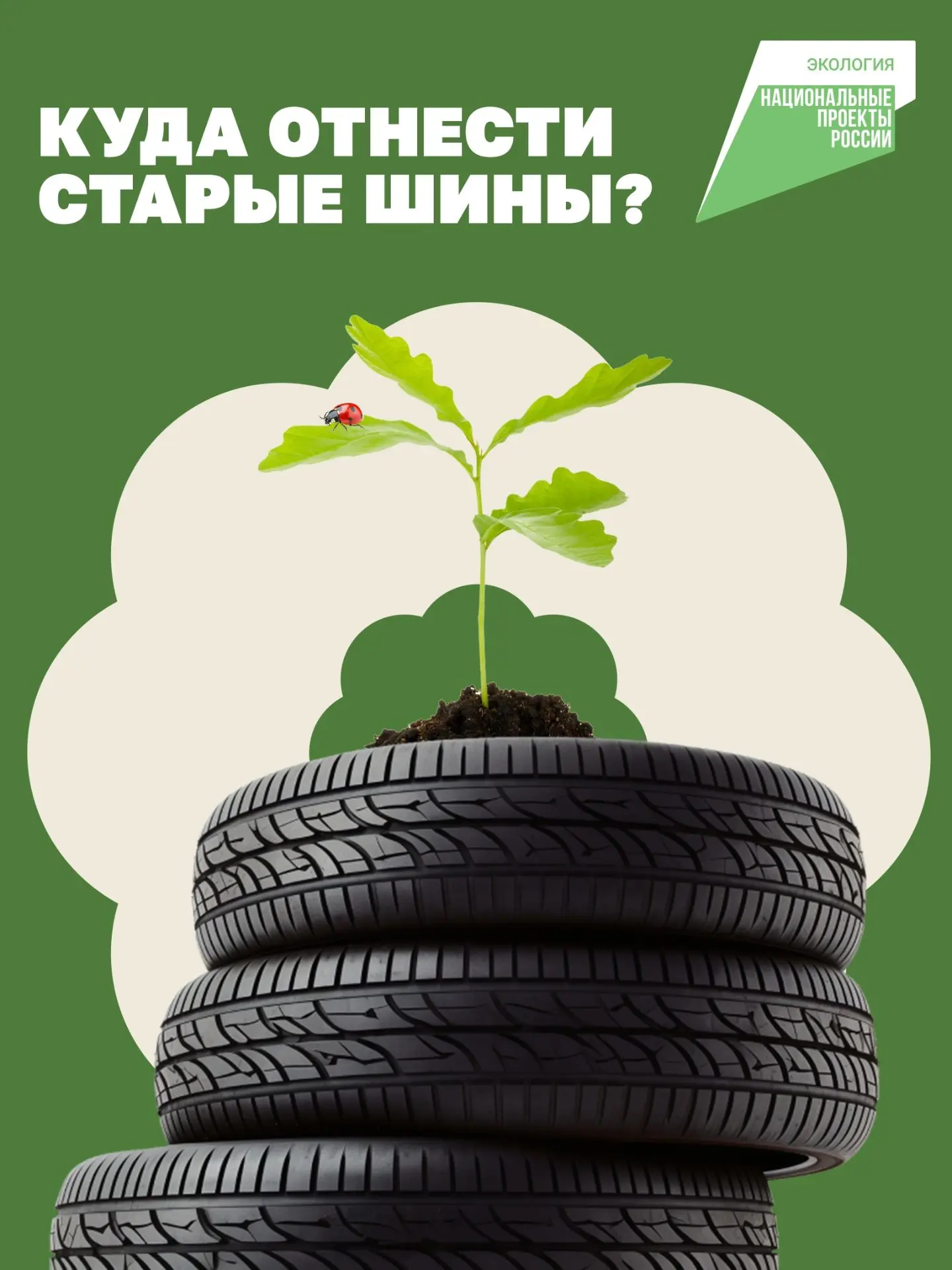 🌿 Нельзя просто так взять и выбросить шины в мусорный контейнер
