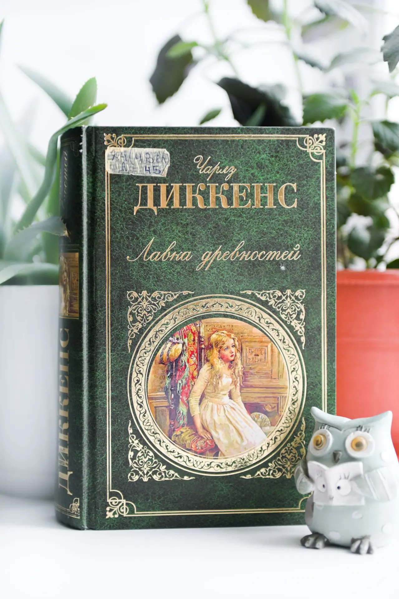 🦉 Доброго совиного утра!