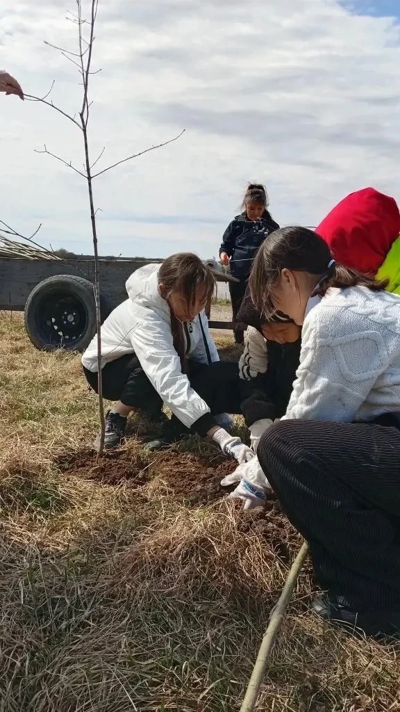 🌳 «Сад Памяти» расцвел в селе Дада