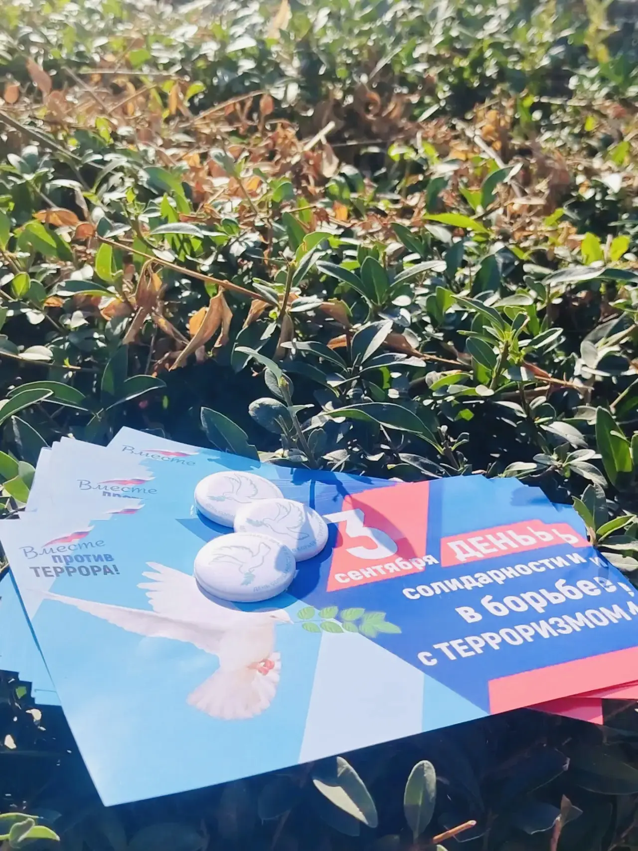 🕊️3 сентября – День солидарности в борьбе с терроризмом🕊️
