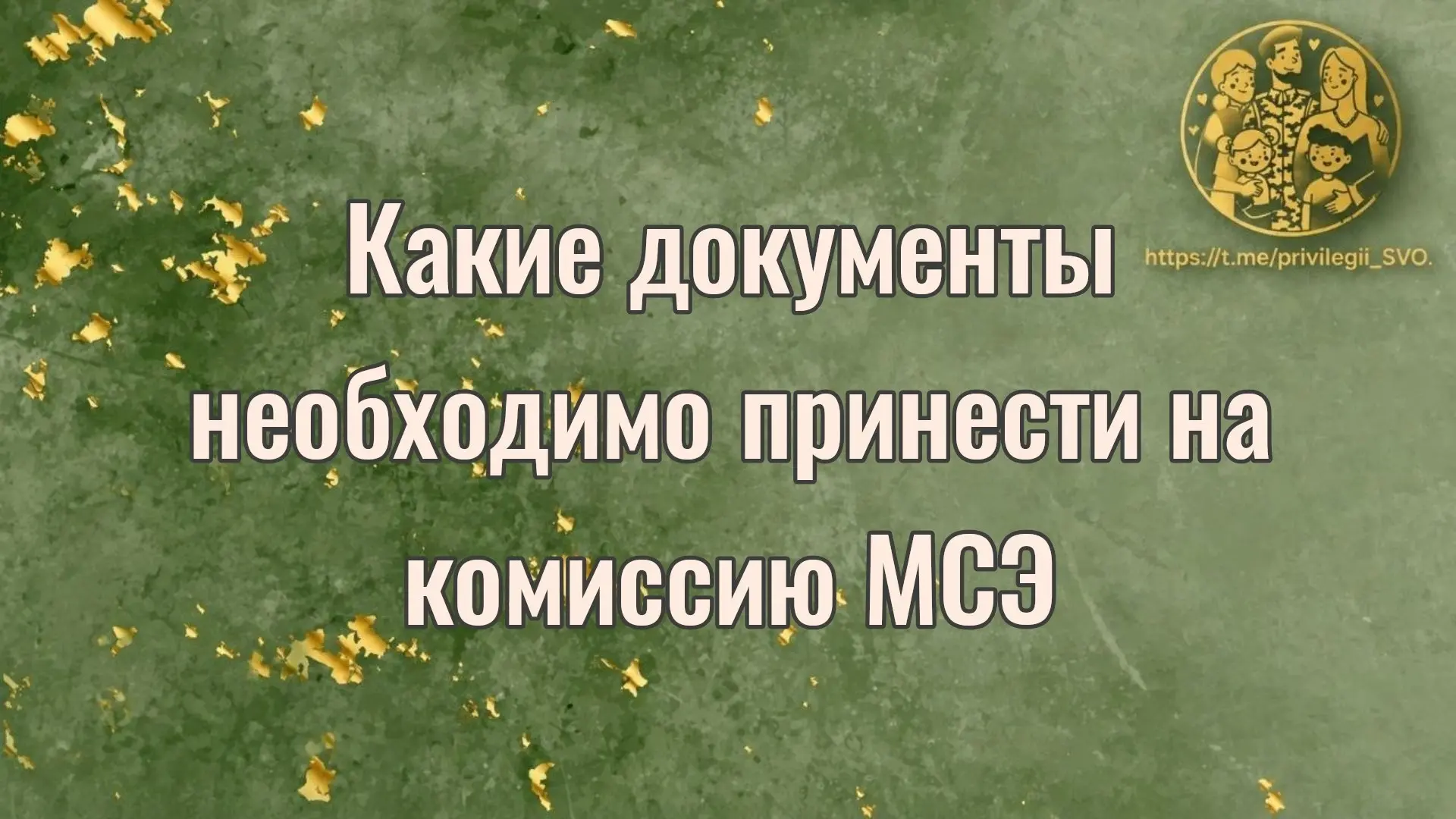 Какие документы необходимо принести на комиссию МСЭ