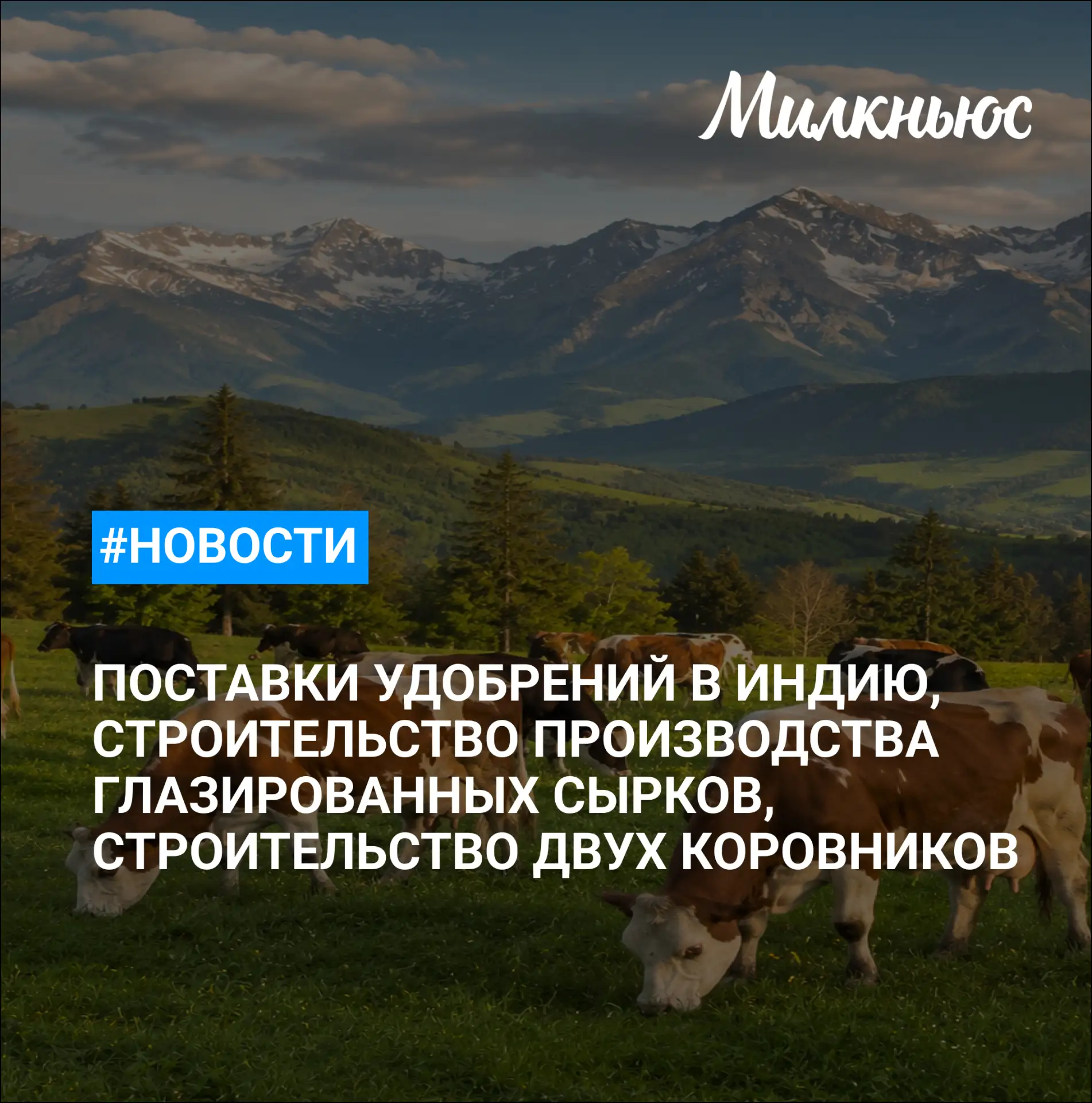 🐮 «Логика молока» начала строительство производства глазированных сырков на молкомбина...