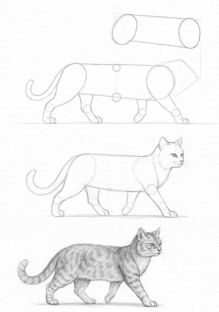 Ну грация 🐈