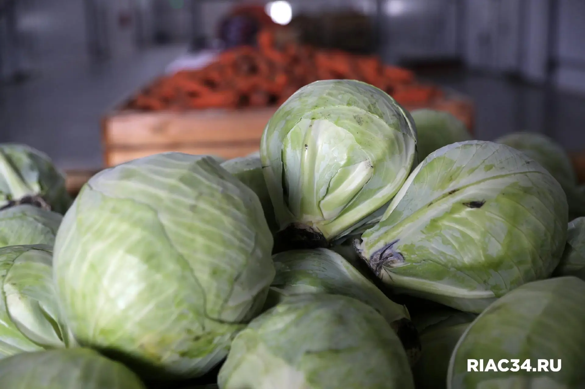🥬 Квашеная капуста: польза и безопасная доза по мнению гастроэнтеролога.
