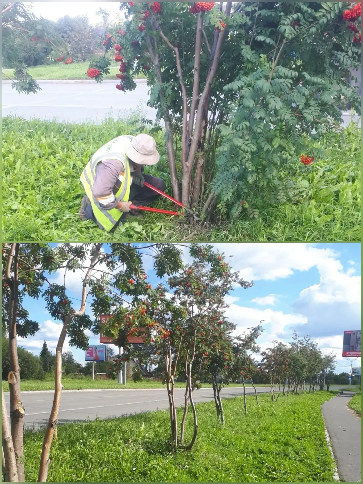 🌿 ЗЕЛЁНЫЕ БУДНИ