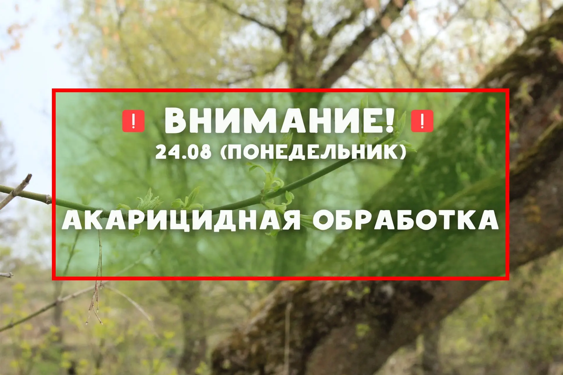 Уважаемые посетители парка!
