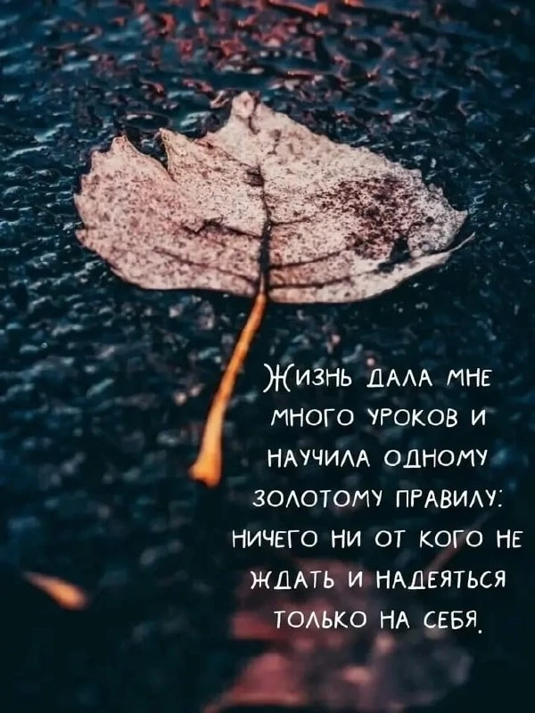 Смысл в каждой фразе — Подпишись