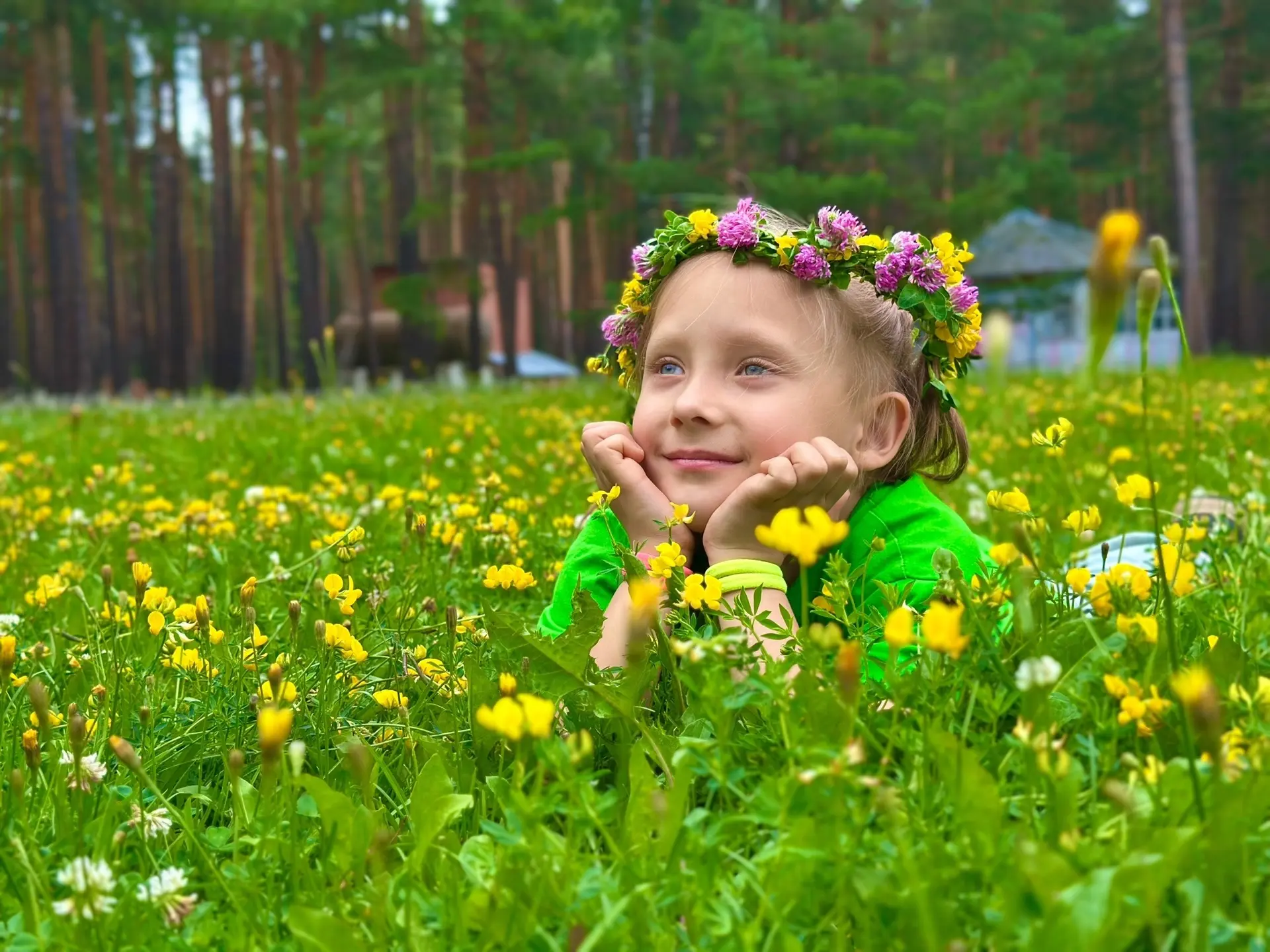 Заря! Внимание! 🌼