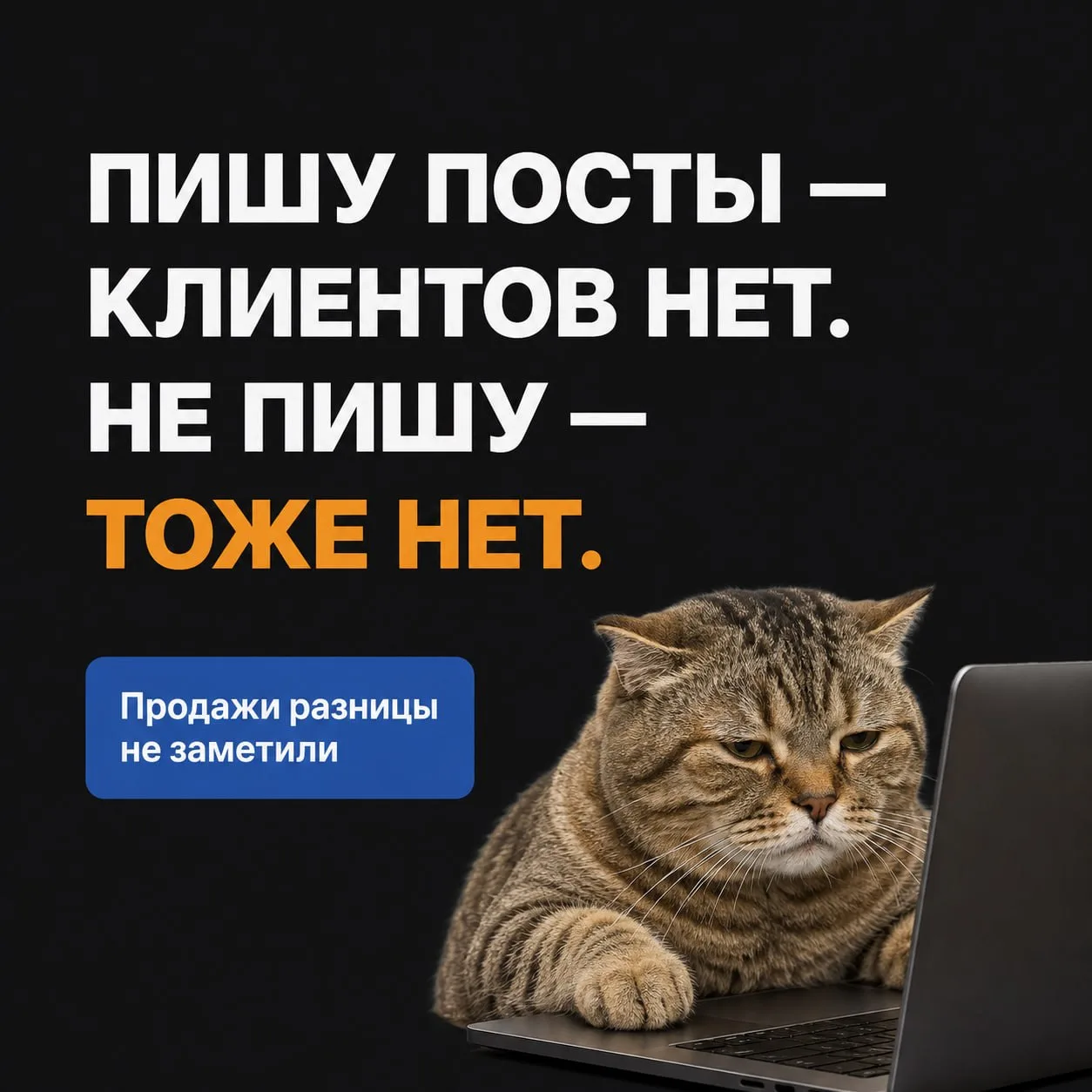 «Месяц пишу посты через день. Потом на месяц пропадаю. По клиентам разницы никакой».