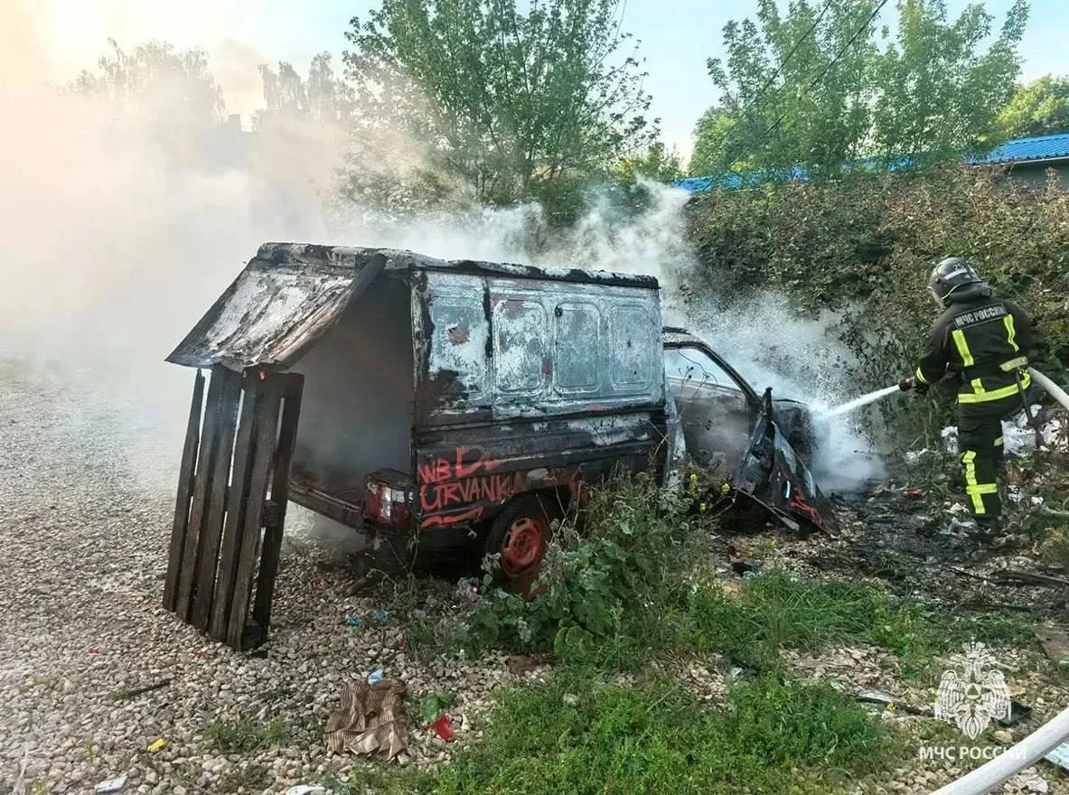 В Новомосковске сгорел фургон

Пожар произошел 5 августа на улице Дружбы. На место выезжали семь огн