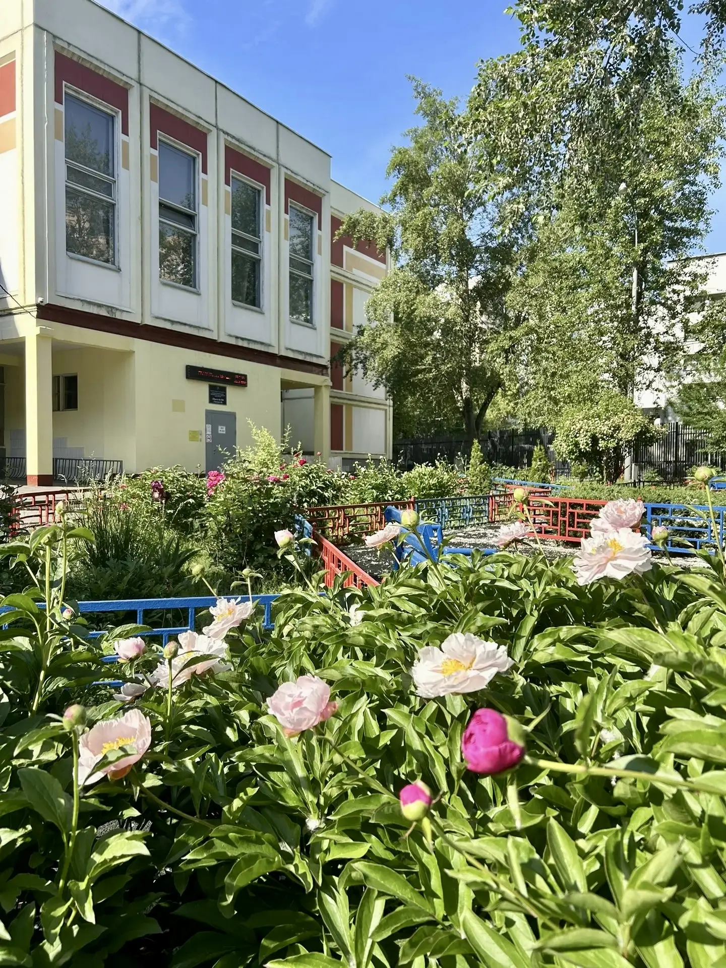 🌸 Наша школа расцвела!

😍 Посмотрите вокруг - все школьные территории украшены цветами! Яркие клум