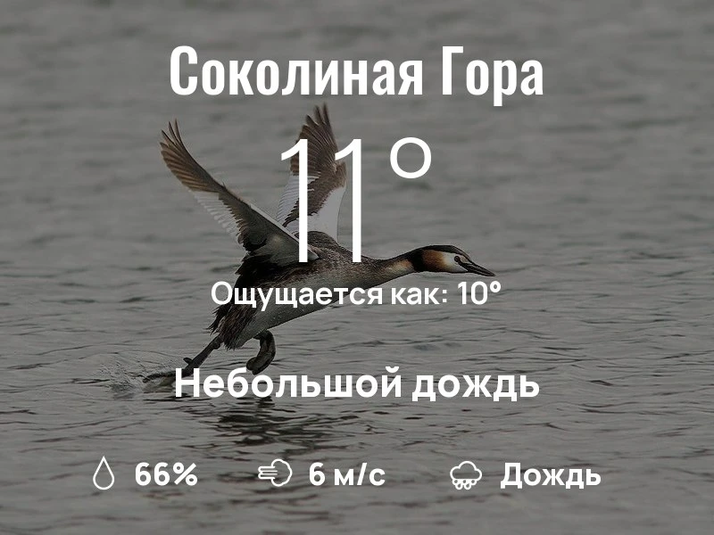 Что с погодой в районе Соколиной Горы?