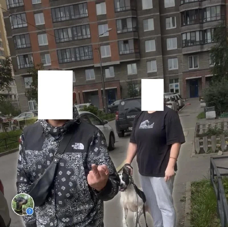 🐕 Питбуль напал на мужчину у пекарни