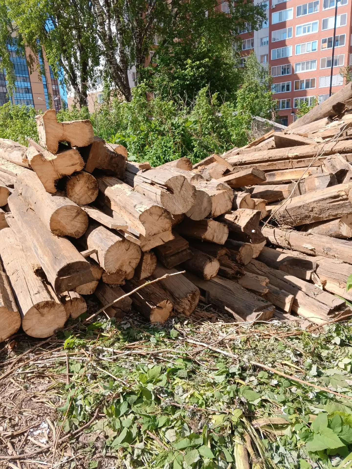 Отдаю бесплатно дрова.
Длина 1.5-3м.
Забирать в ближайшее время.
Ул. Клары Цеткин.
8-904-102-12-06.
