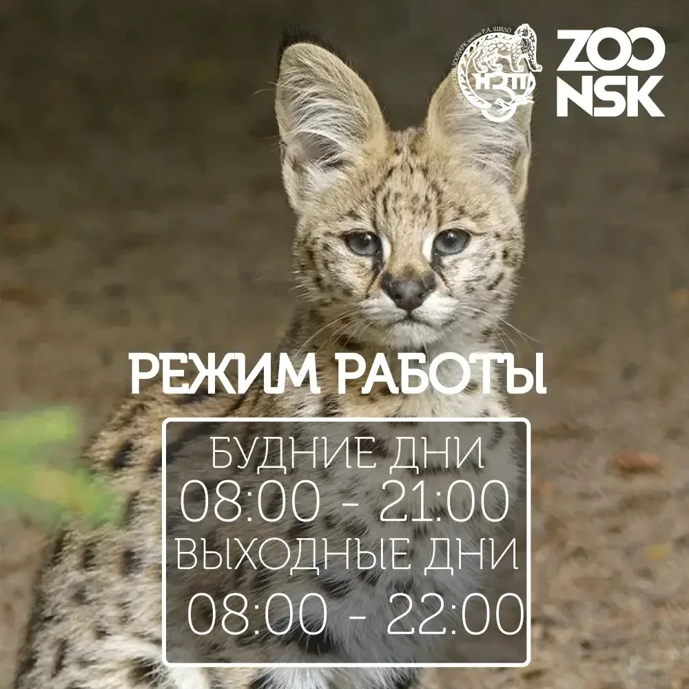 ‼️В связи с уменьшением продолжительности светового дня меняется график работы Зоопарка.