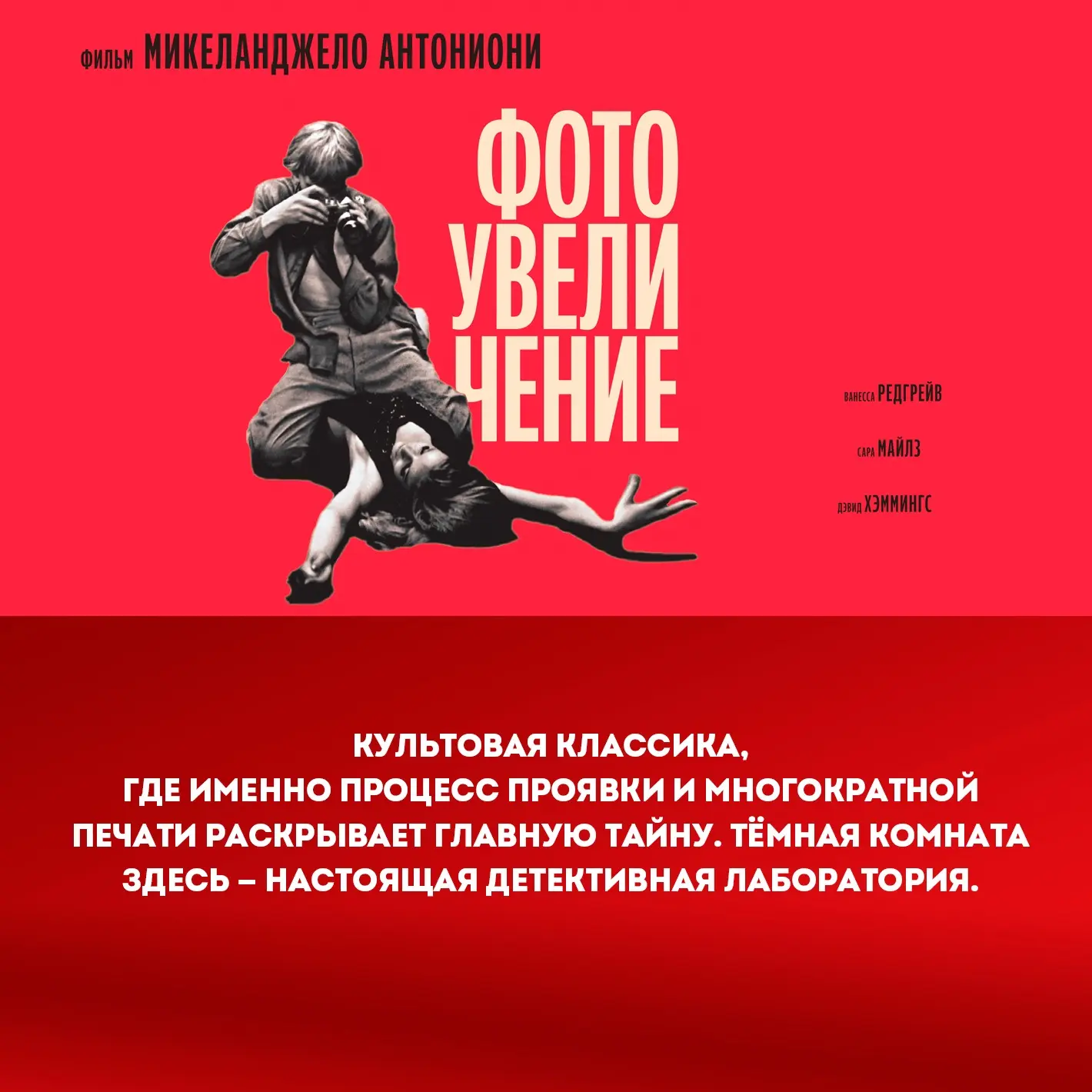 📸 Знаете это чувство, когда из темноты рождается изображение?