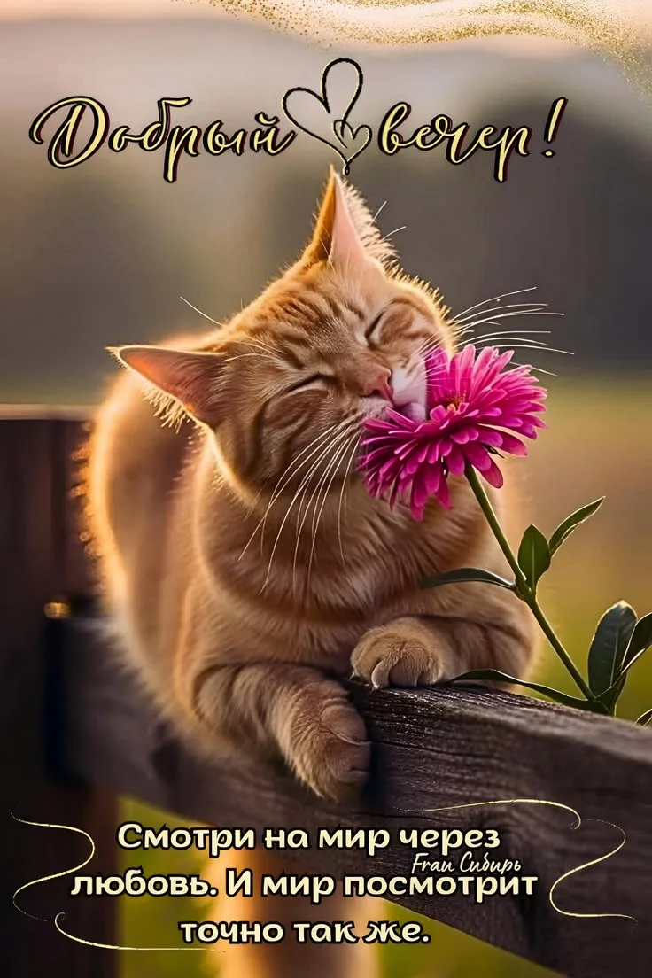 Открытки и поздравления💕