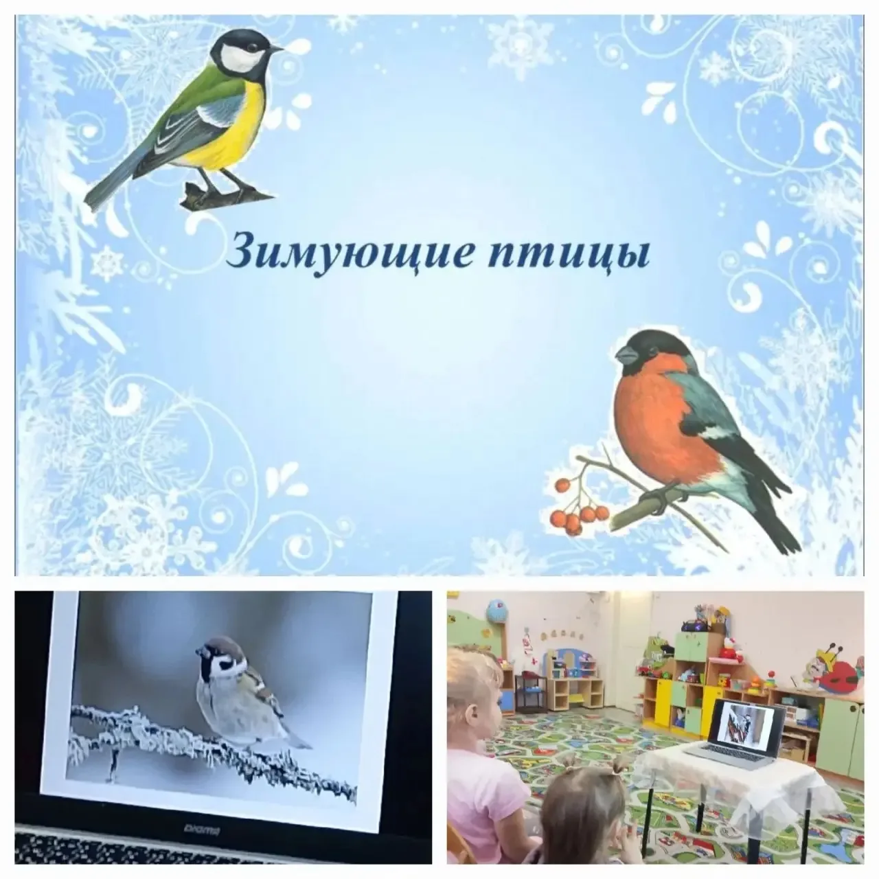 ❄️ Зима заглянула в наш регион не на шутку — снегом, морозами и настоящей сказочной атм...