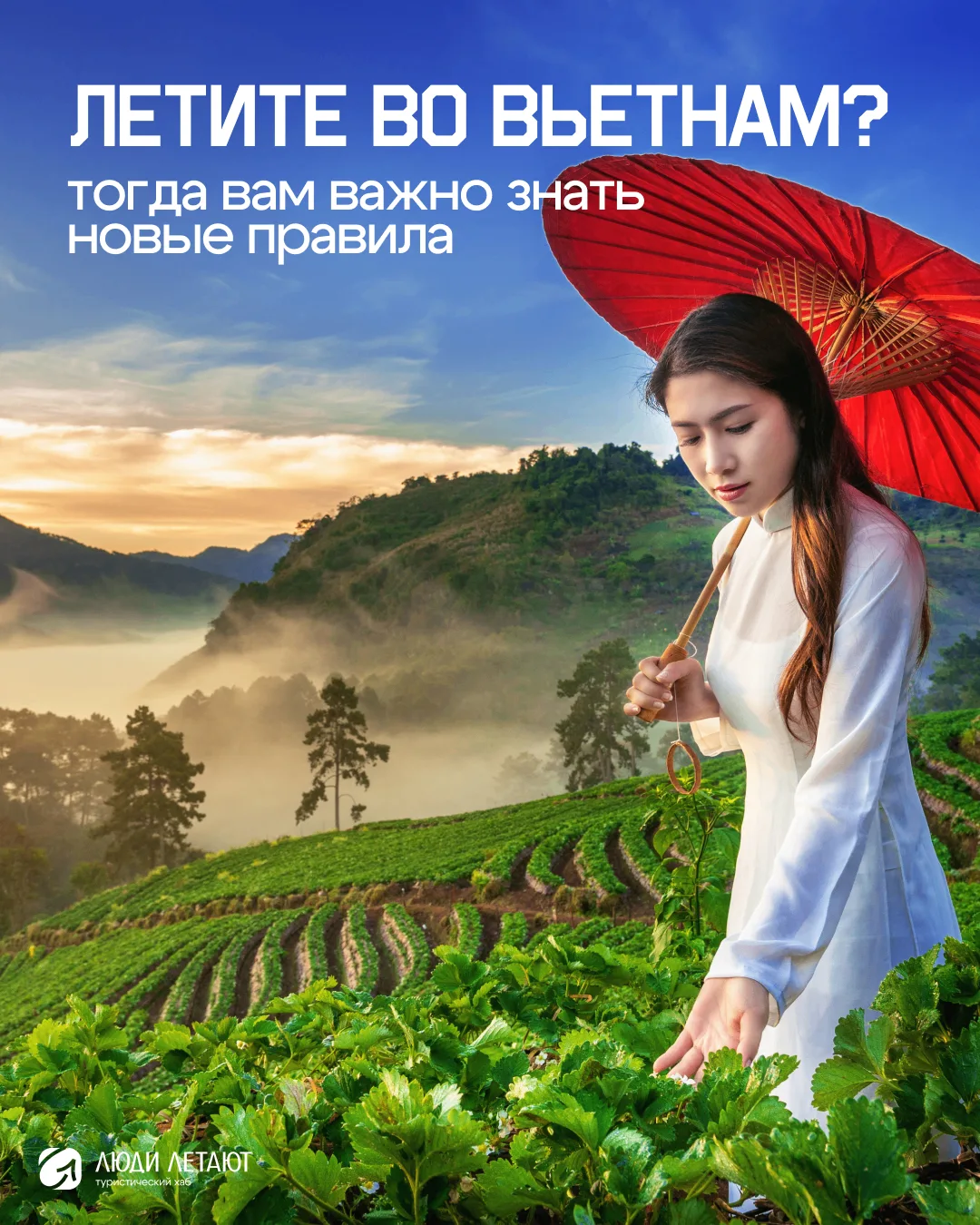 Кто летит во Вьетнам в ближайшие недели? 🇻🇳

Столько вопросов поступило после новостного дайджеста