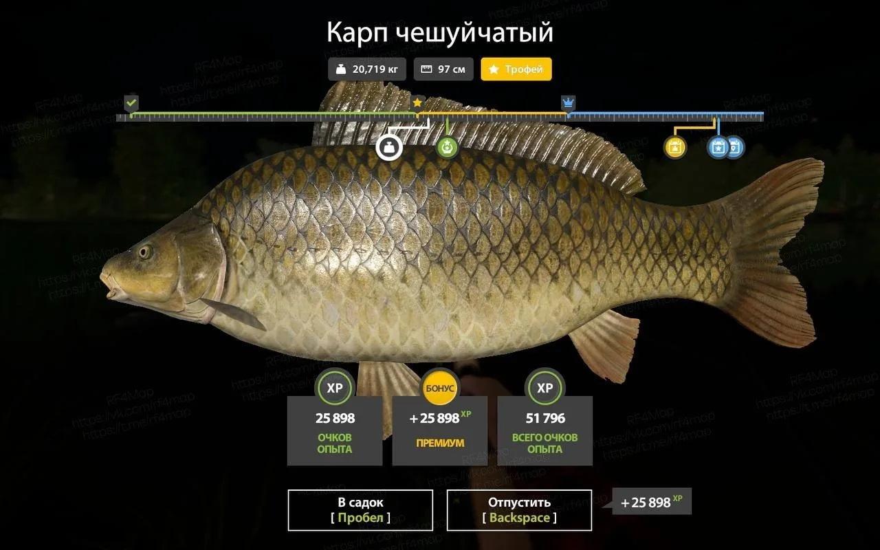#трофей_rf4map
Водоем: #янтарное_rf4map
- Температура воды: нормальная
- Рыба: Карп зеркальный, Карп
