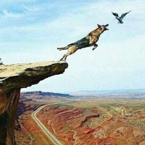 Решение, принятое в гневе, невозможно исправить.