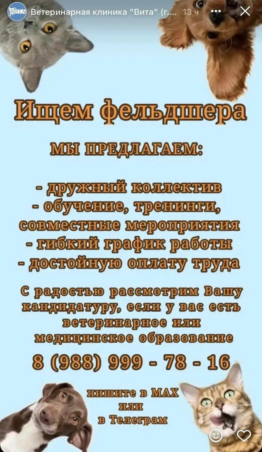 Клиника "Вита" г.Таганрог, ул. Морозова 3-2 ищет ветеринарного фельдшера.