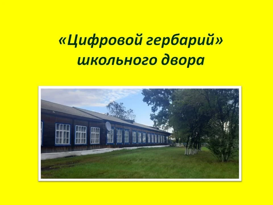 Онлайн-флешмоб «Цифровой гербарий»