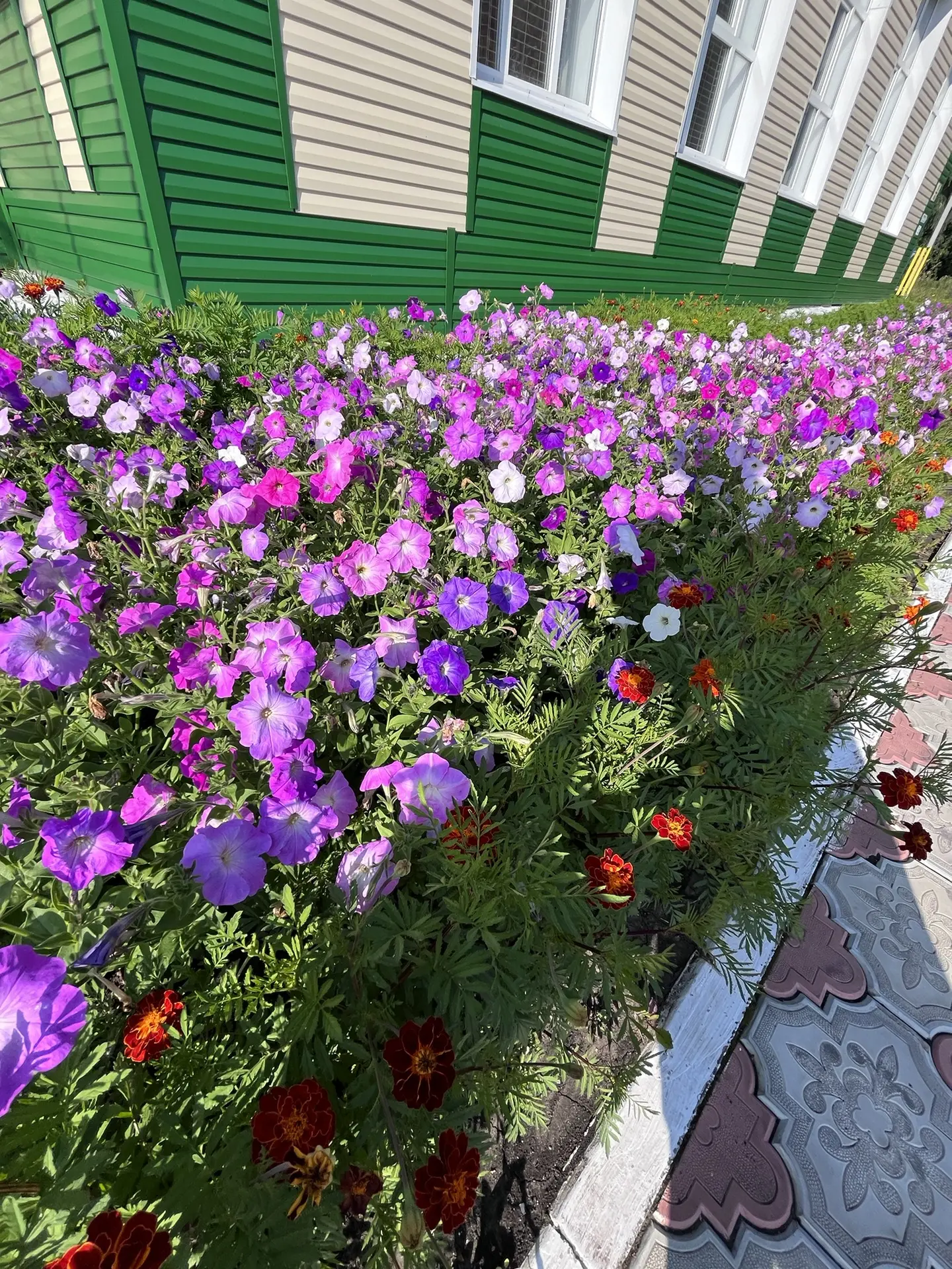 Эта красота создана стараниями учителей и учеников.🌺