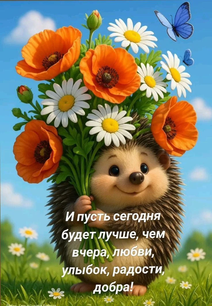 #хорошегодня

Канал С добрым утром!🌷
