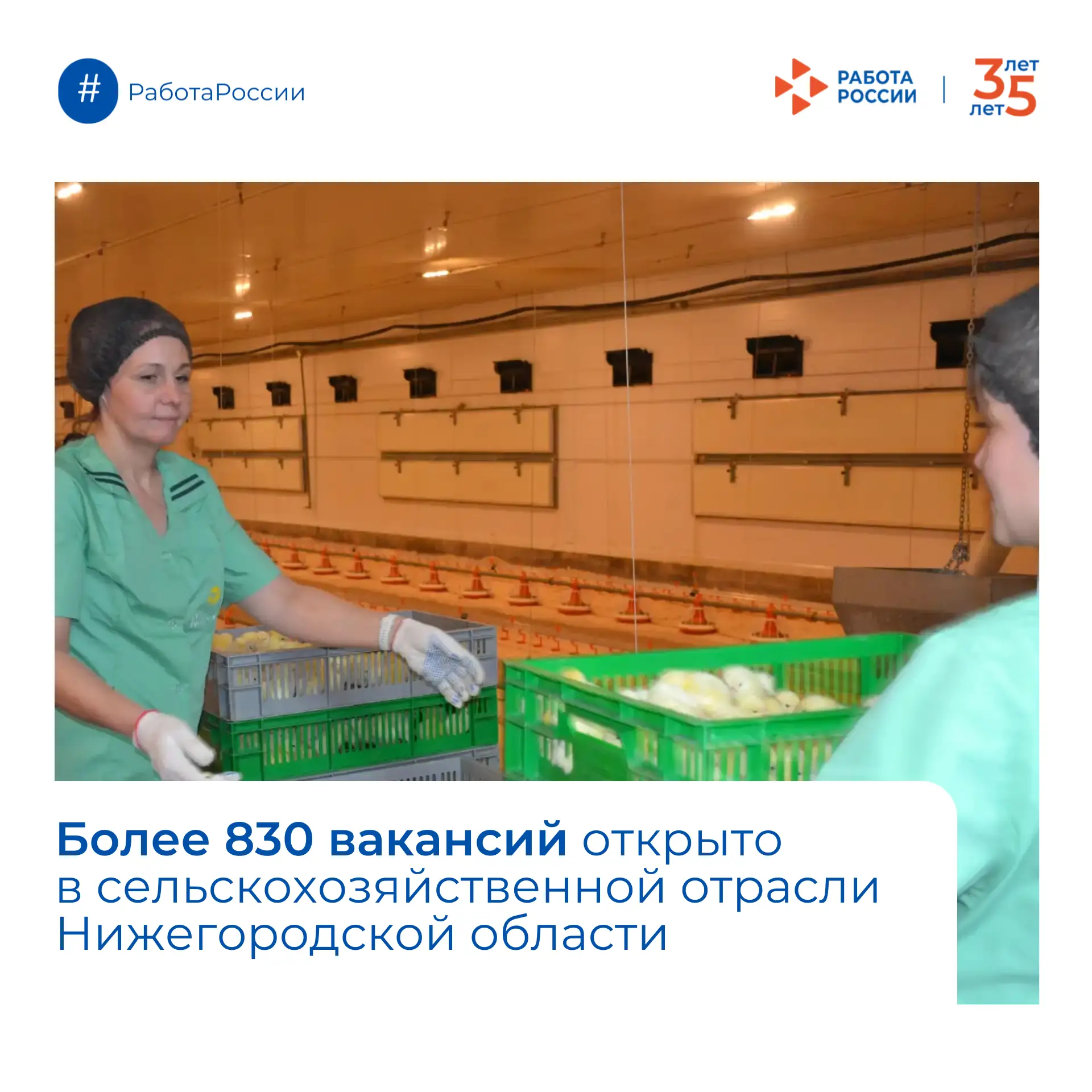 🌾 Более 830 вакансий открыто в сельскохозяйственной отрасли Нижегородской области

Сельхозпредприят