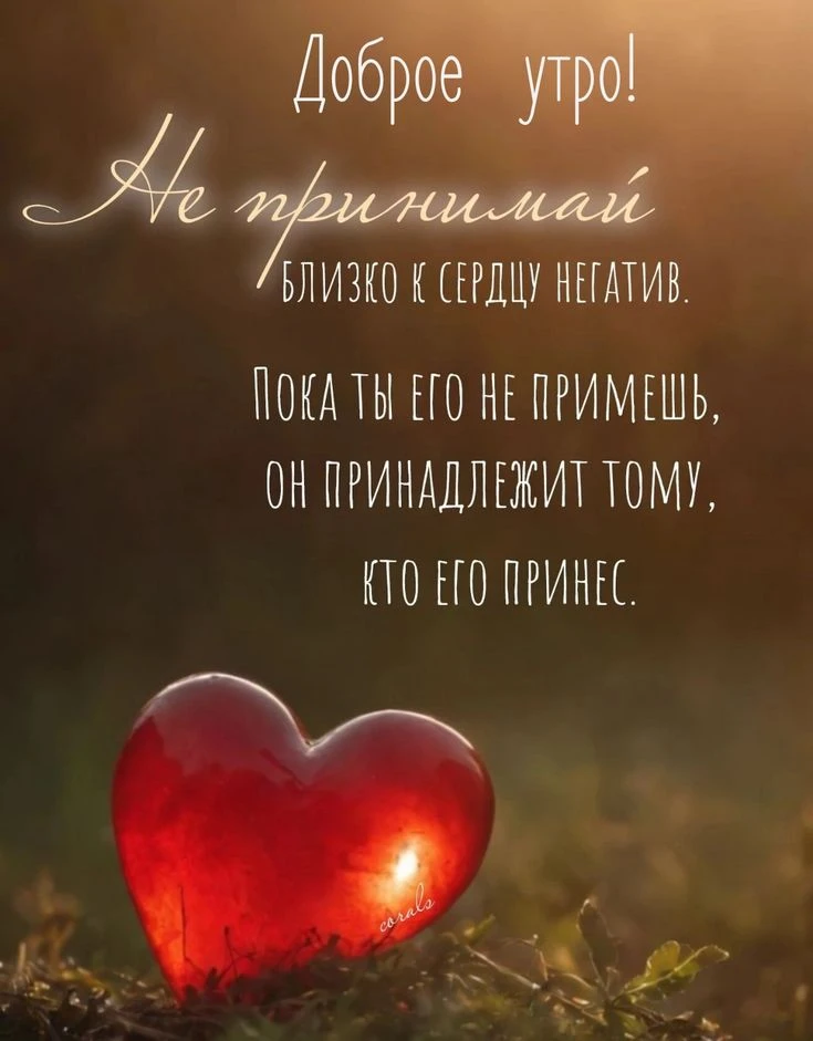 ♥️☀️♥️☀️