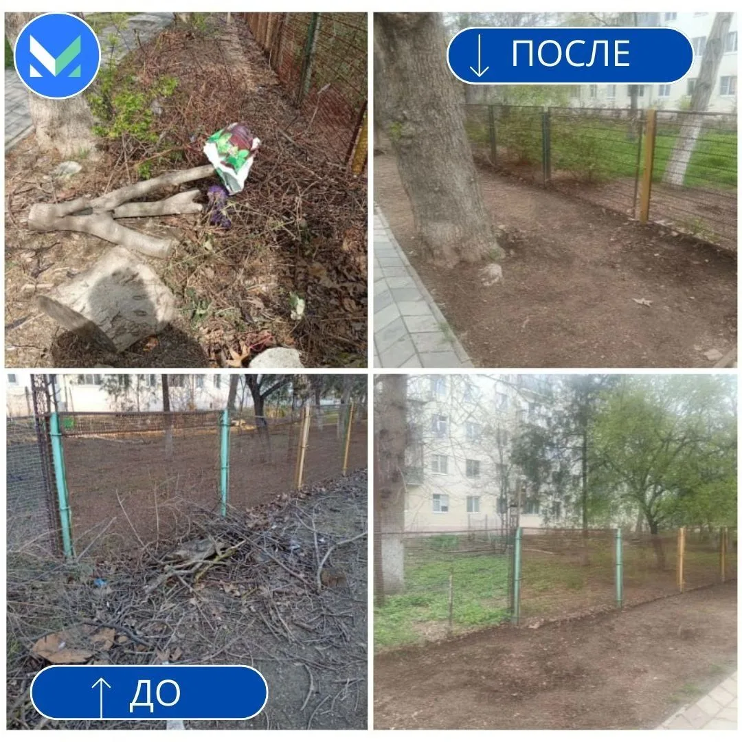 🌿 Чистота - дело общее! 👨‍💻