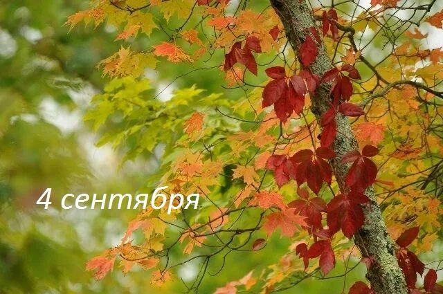 Добрый день!