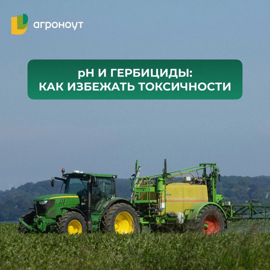 🌱 рН И ГЕРБИЦИДЫ: КАК ИЗБЕЖАТЬ ТОКСИЧНОСТИ