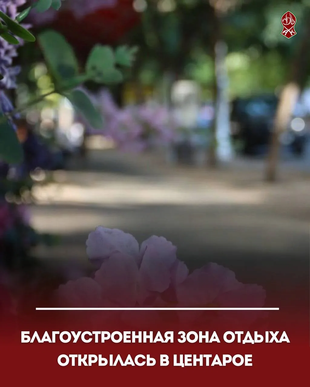 Благоустроенная зона отдыха открылась в Центарое