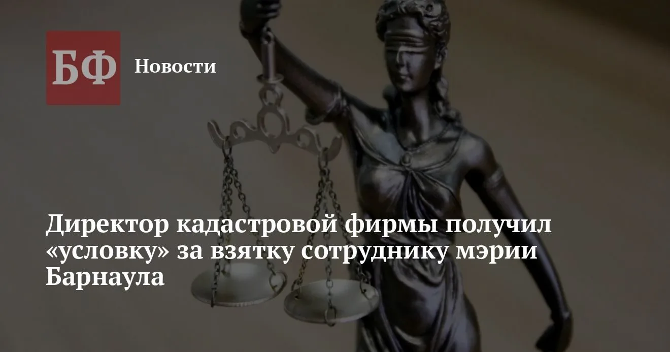 Директор кадастровой фирмы получил условный срок за взятку мэрии