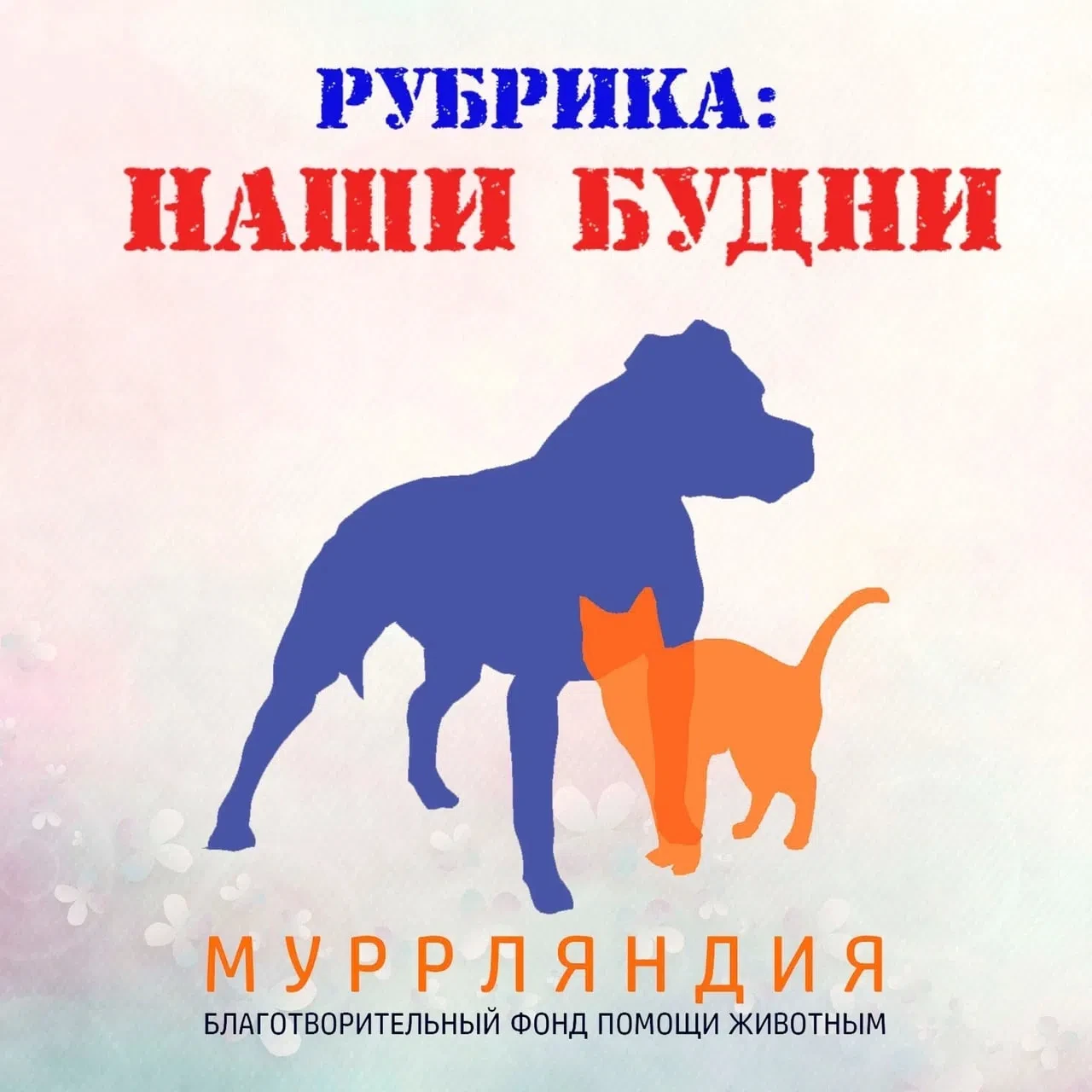 🎉 Отличные новости с передержки! 🎉