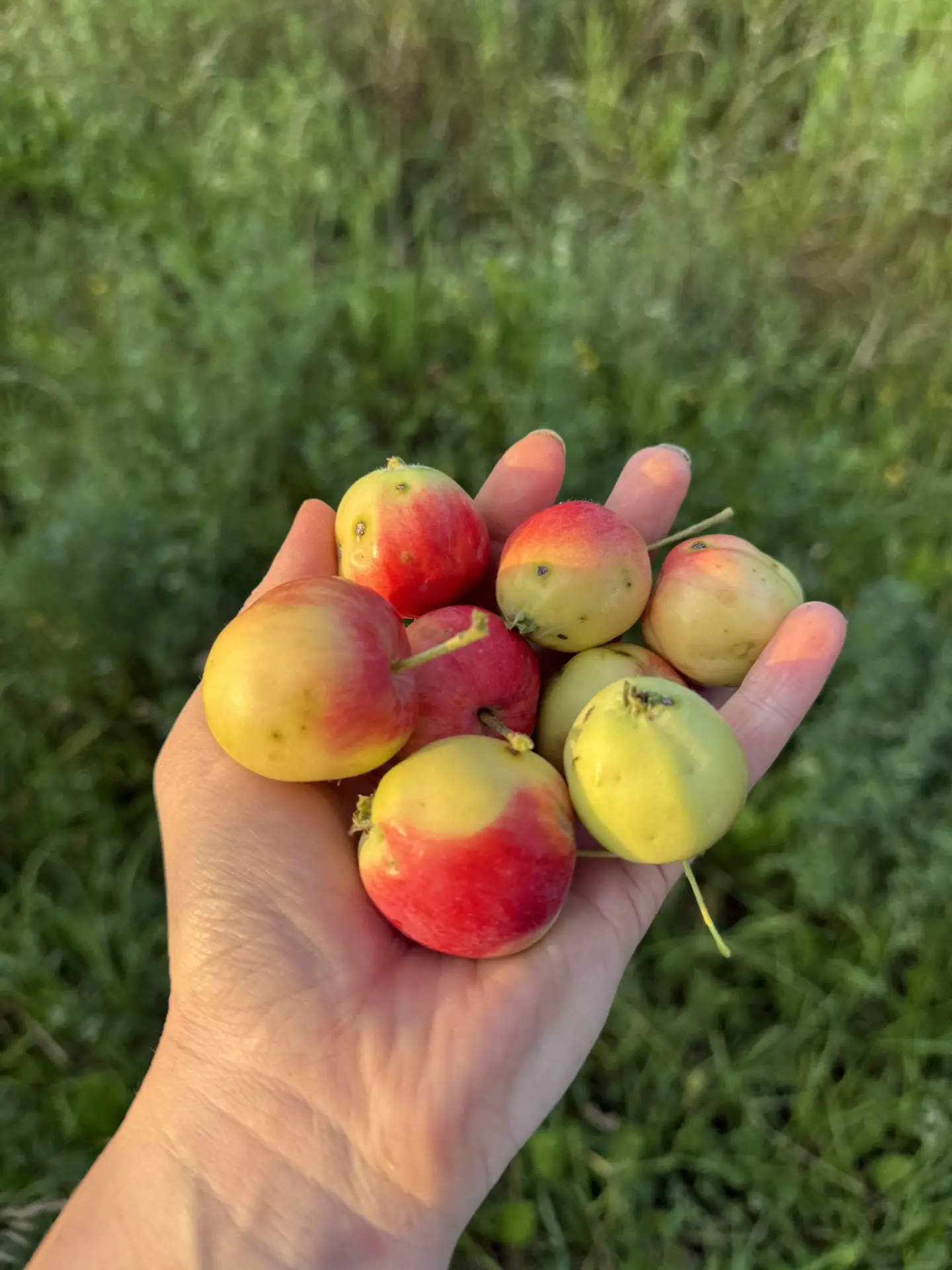 Добрых, деревенских снов!🫂❤️