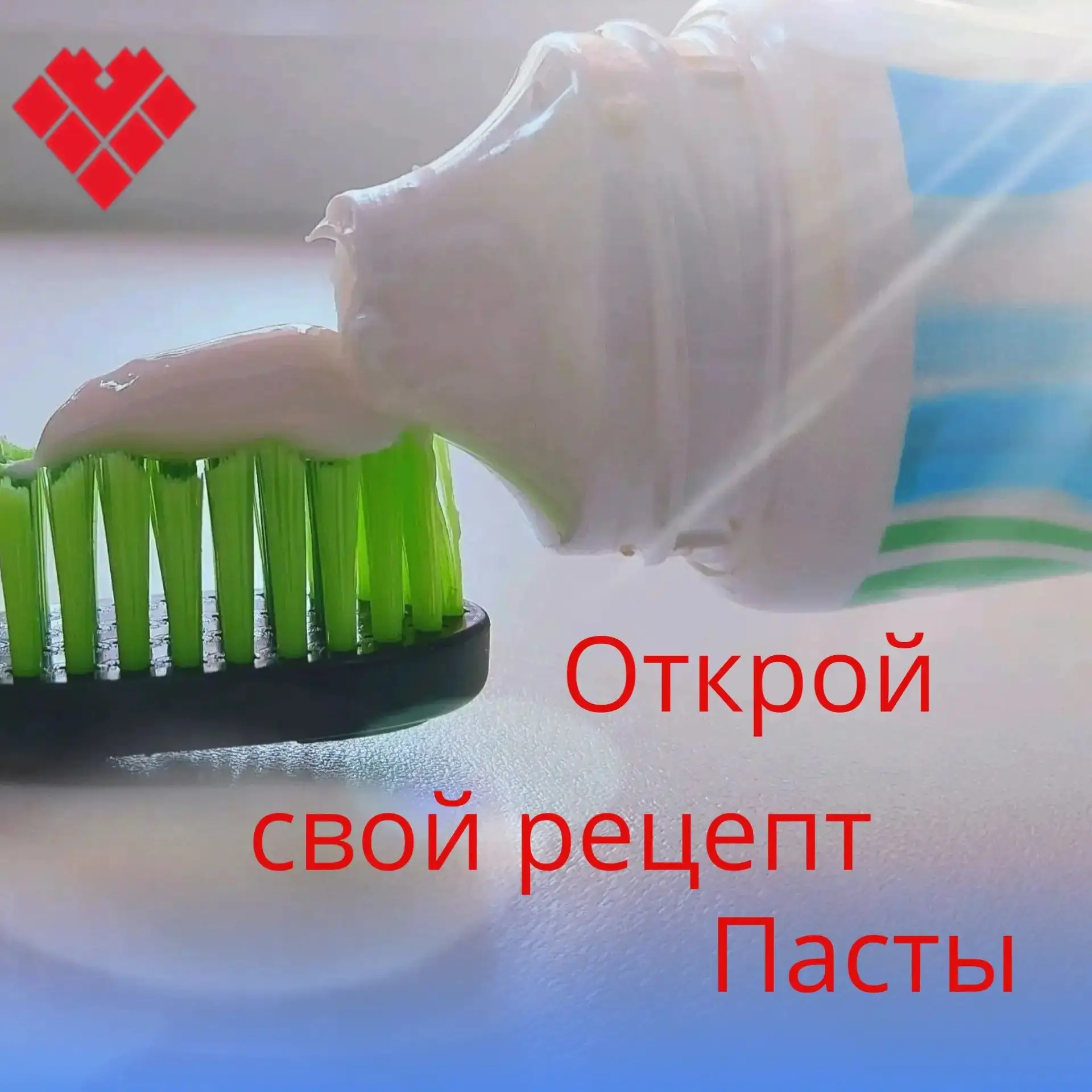 Ферменты
