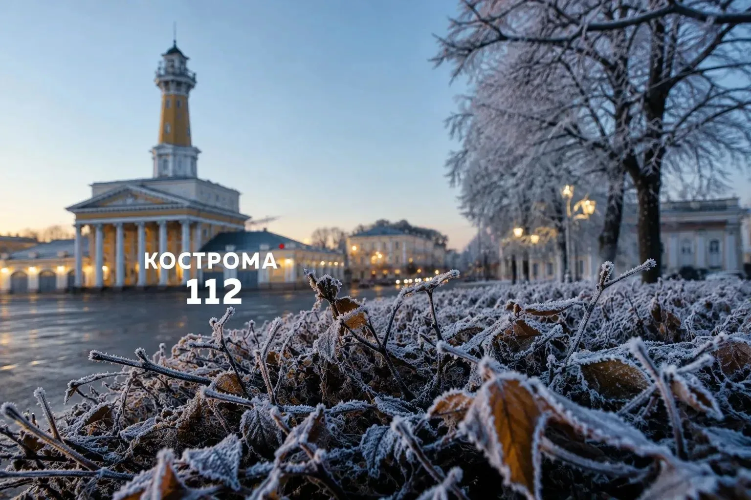 🥶 Заморозки ожидаются в Костромской области