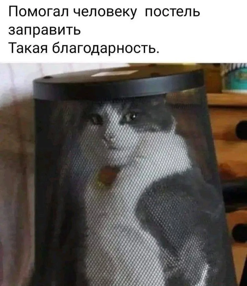 Вот такая благодарность🫠