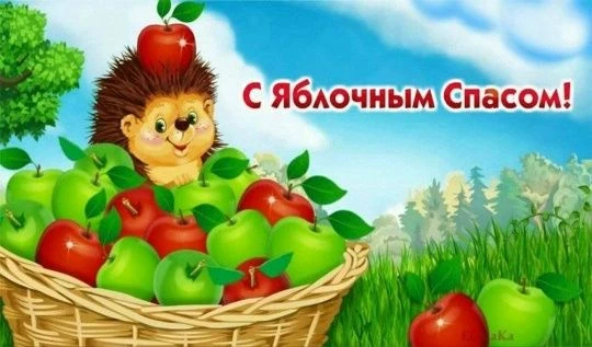 Как мы отмечали Яблочный Спас в саду 😉