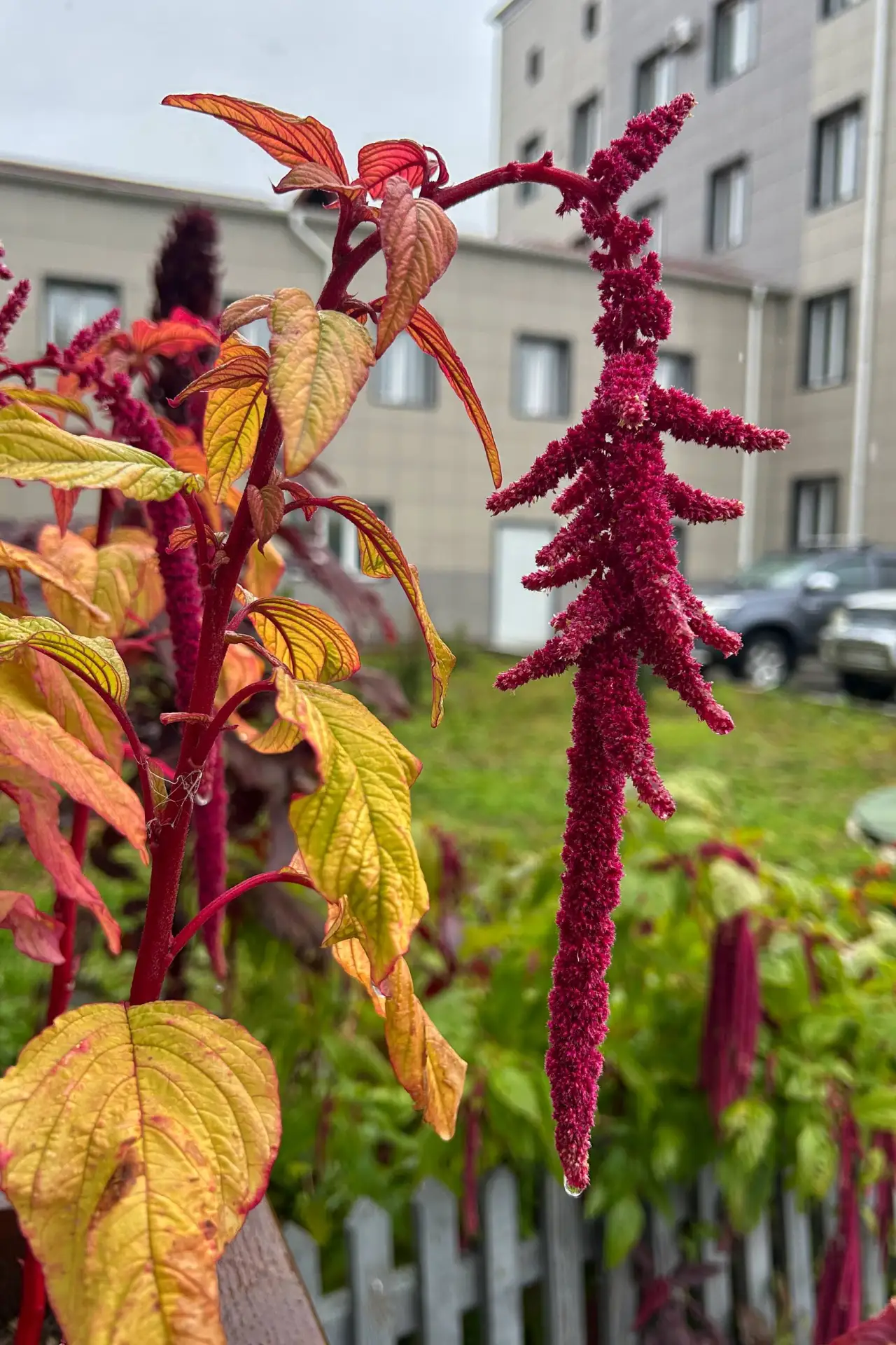 Снег ночью не случился, к вечеру должно распогодиться🥶