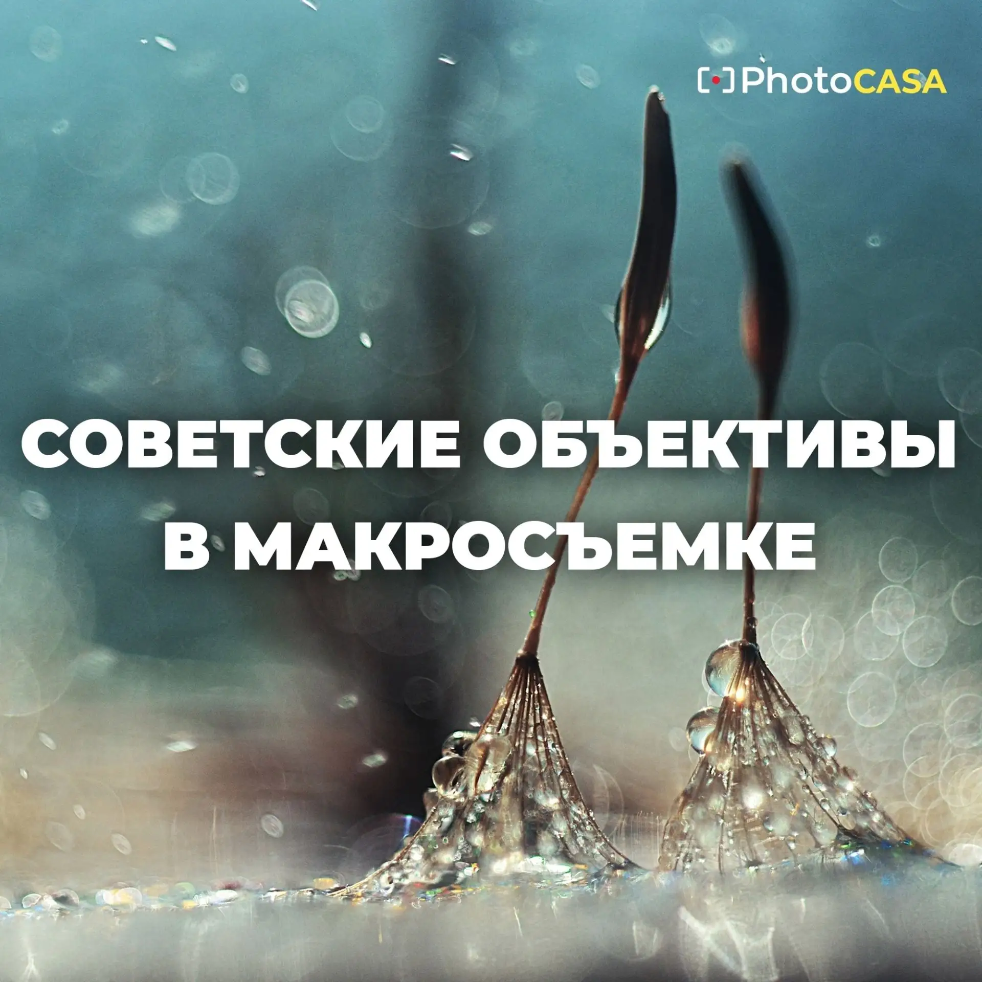 Советские объективы в макросъемке