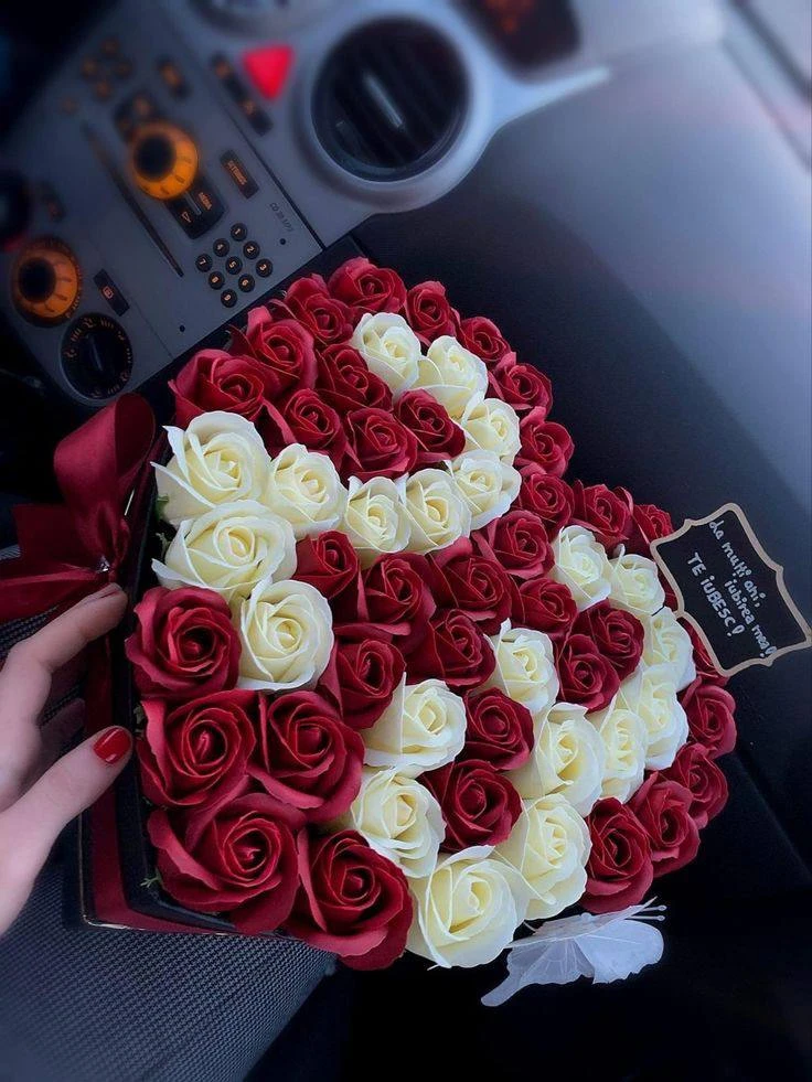 @drygtl