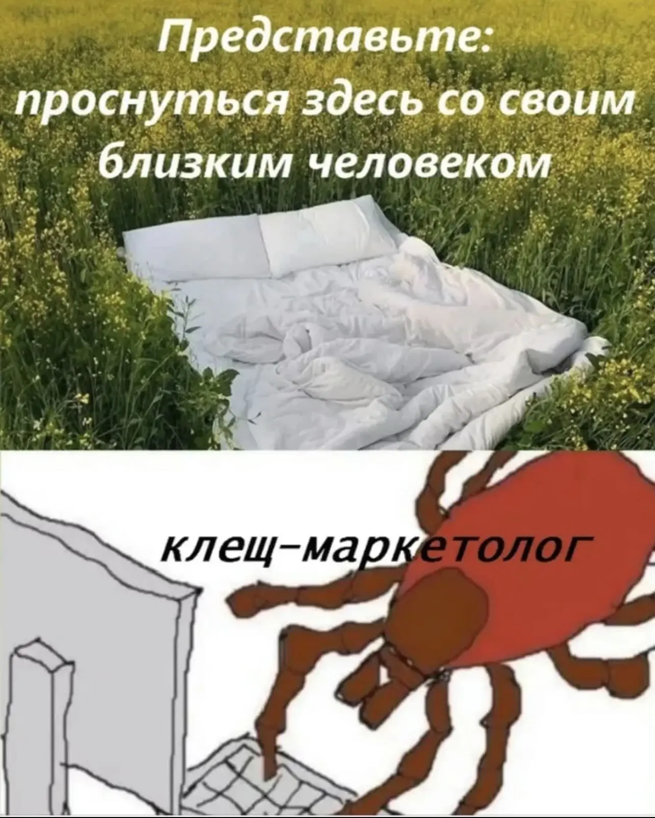 🤭🤣🤣 почему мне так смешно