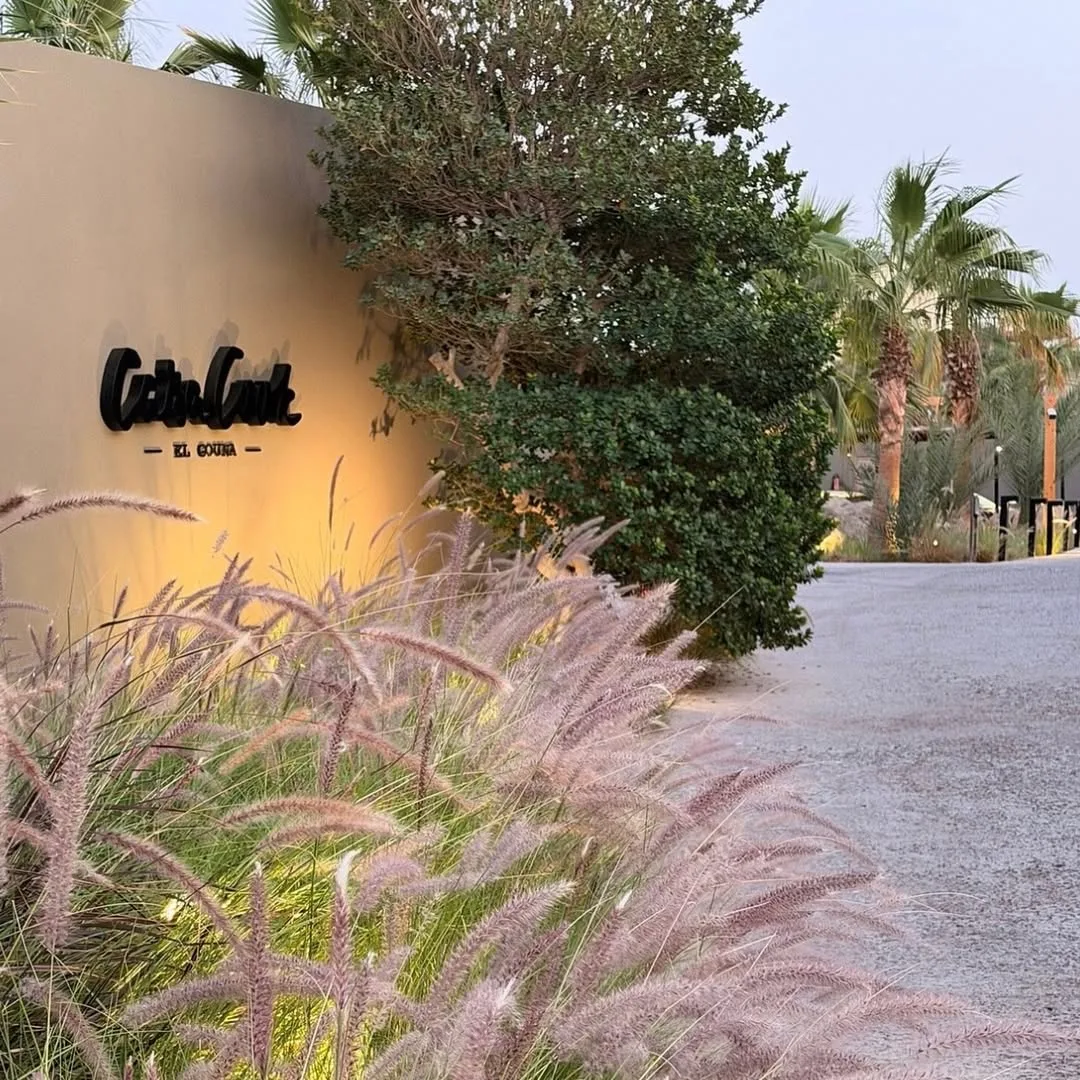 CASA COOK EL GOUNA 5* - эстетика, которая действительно лечит голову 😍