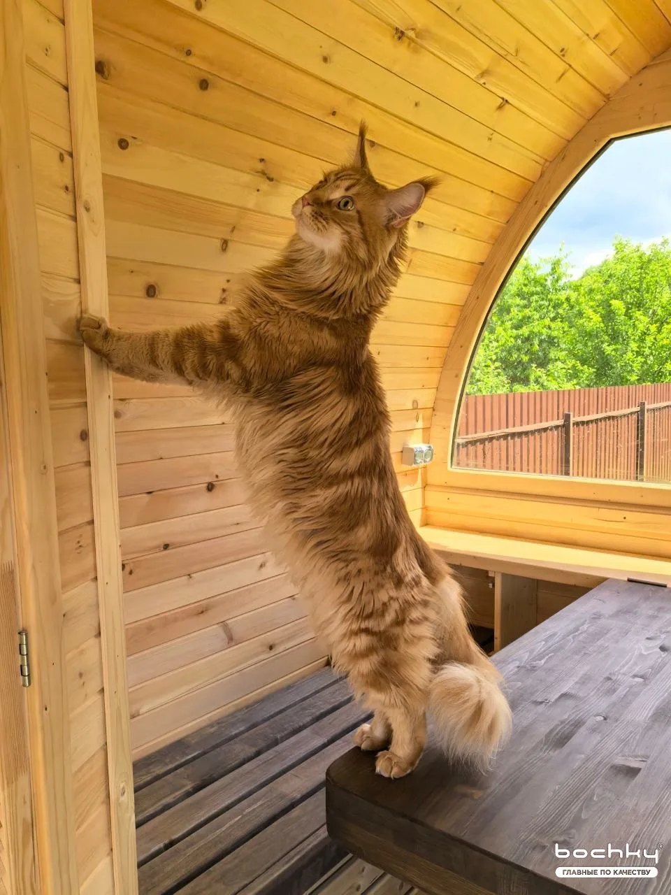 И нет, это не ИИ. 😄

Это наш самый строгий приемщик — кот. После установки он лично проверяет баню 